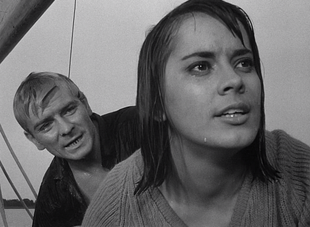 Knife in the Water THE CINEMATOGRAPH