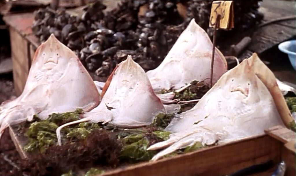 Purple Noon - Plein soleil - René Clément - fishmarket - Naples