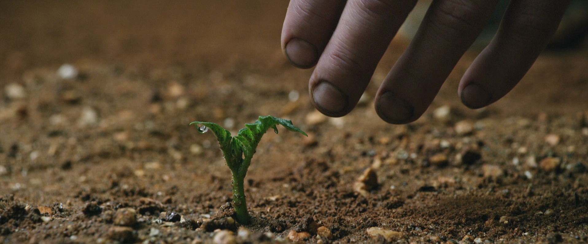 The Martian - Ridley Scott - sprout - potato - hand - Matt Damon - Mark Watney