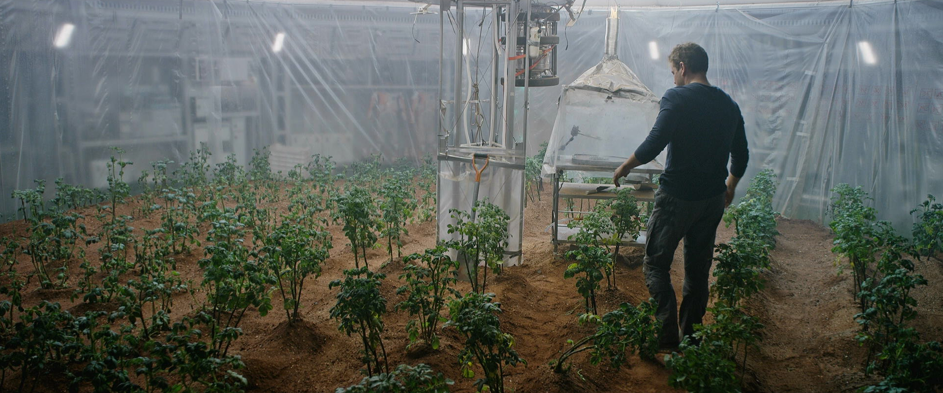 The Martian - Ridley Scott - Matt Damon - Mark Watney - potato crop - Mars