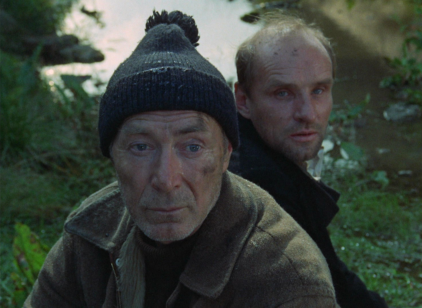 Stalker - Andrei Tarkovsky - Professor - Writer - Nikolai Grinko - Anatoly Solonitsyn