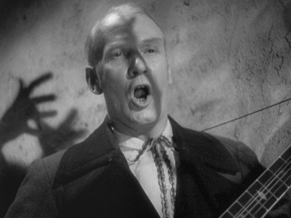 The Lady Vanishes - Alfred Hitchcock - musician - singer - murder - spy - shadow