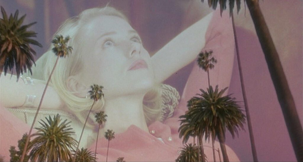 Mulholland Drive - David Lynch - Naomi Watts - Diane Selwyn - palm trees - dissolve