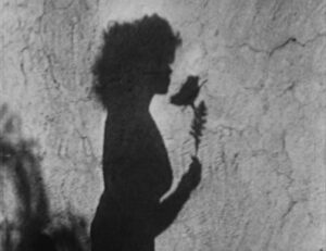 Meshes of the Afternoon - Maya Deren - Alexander Hammid - silhouette - shadow - flower - wall - opening