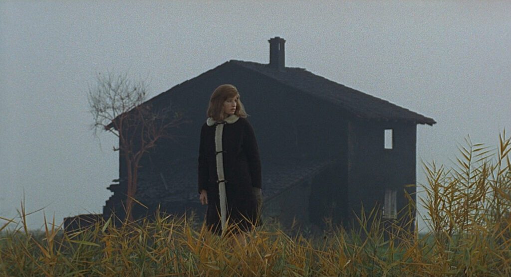 Red Desert - Il deserto rosso - Michelangelo Antonioni - Monica Vitti - Giuliana - black house