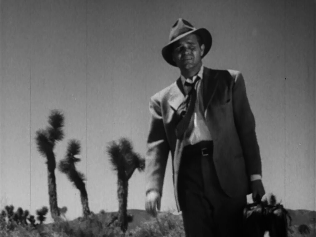 Detour - Edgar G. Ulmer - Tom Neal - Al Roberts - Mojave Desert - suitcase - Joshua trees