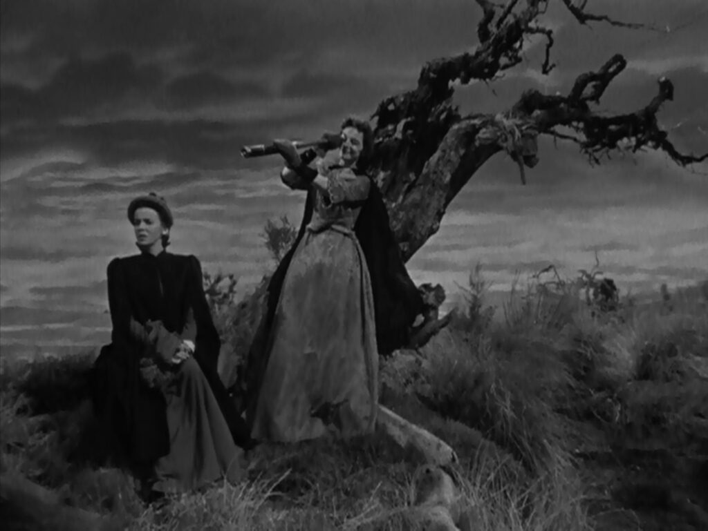 Ladies in Retirement - Charles Vidor - Ida Lupino - Edith Barrett - Ellen Creed - Louisa Creed - telescope - marsh - moors - dead tree