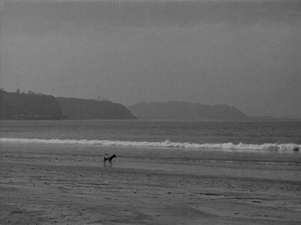 Early Summer - Bakushu - Yasujiro Ozu - opening shot - ocean - beach - dog