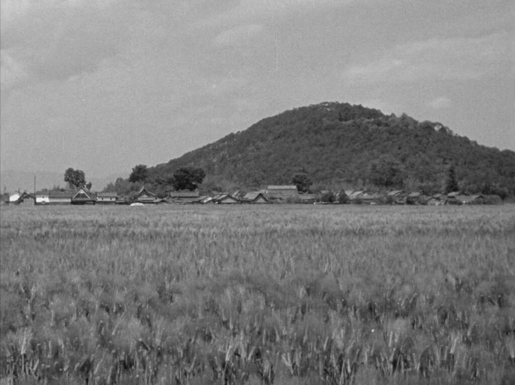 Early Summer - Bakushu - Yasujiro Ozu - final shot - barley fields - hill