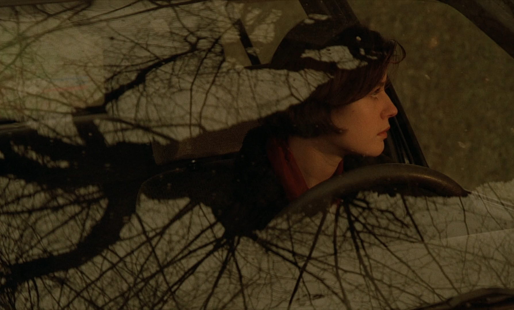The Double Life of Veronique - La double vie de Veronique - Krzysztof Kieślowski - Irène Jacob - tree - windshield - ending