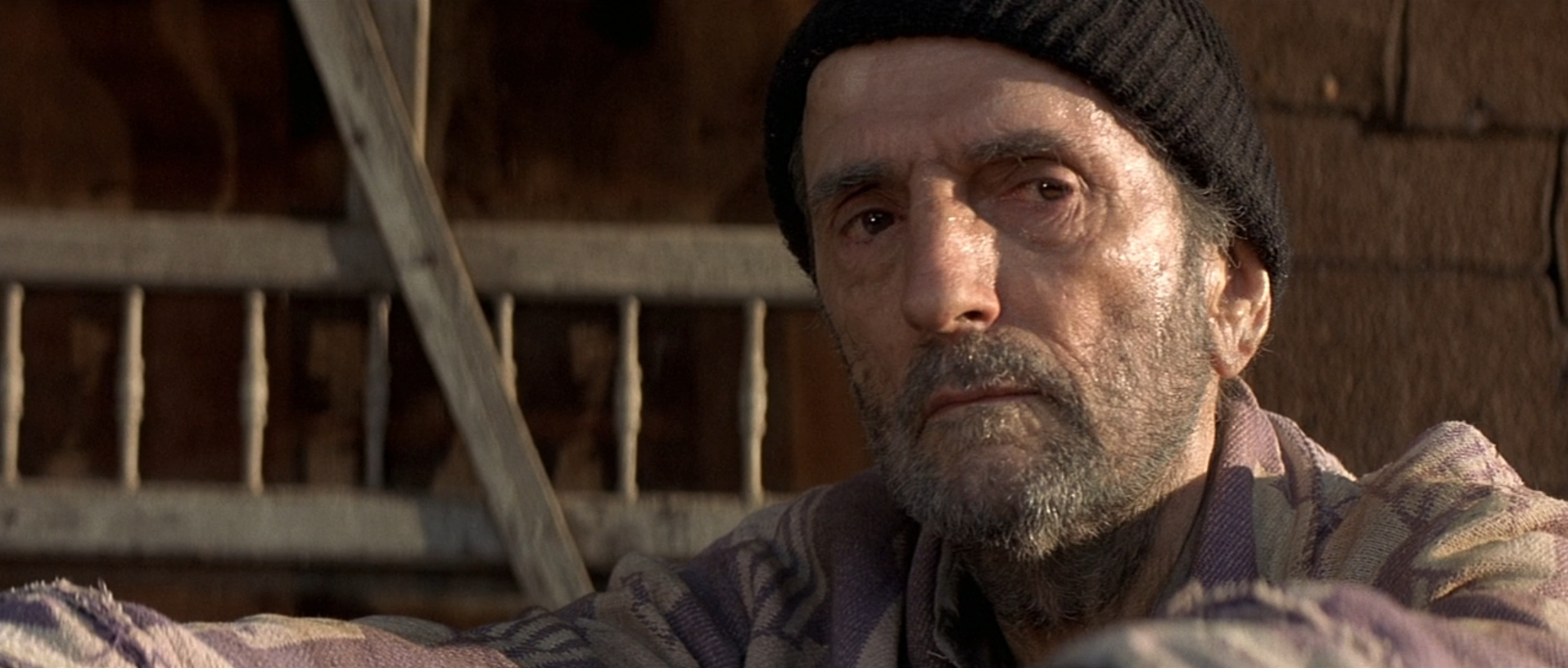 straight-story-1-46-36 The Straight Story - David Lynch - Harry Dean Stanton - Lyle Straight - ending