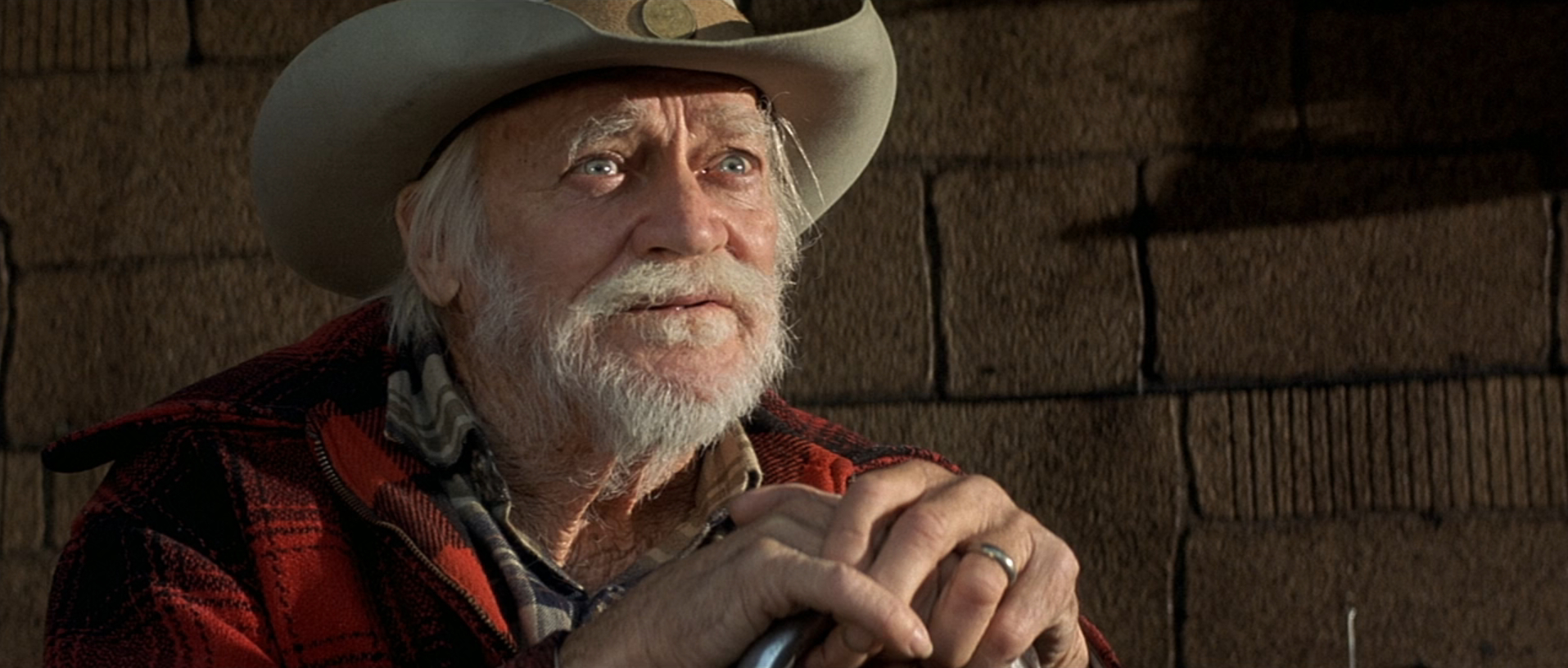 straight-story-1-47-02 The Straight Story - David Lynch - Richard Farnsworth - Alvin Straight - ending