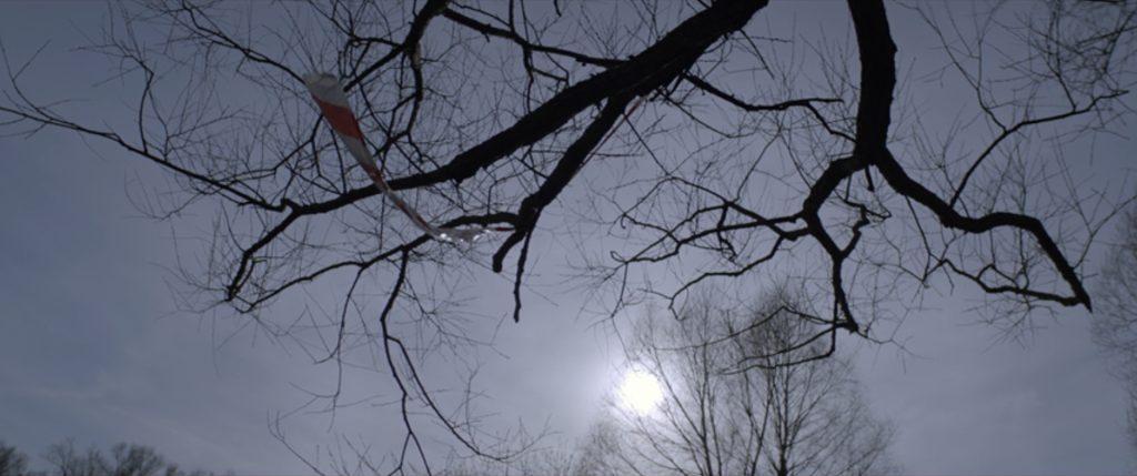 loveless-0-05-08 Loveless - Nelyubov - Andrey Zvyagintsev - tree - ribbon - sun