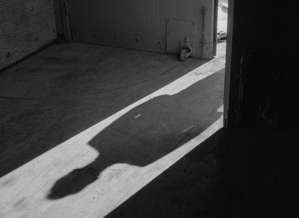 Carnival of Souls - Herk Harvey - shadow