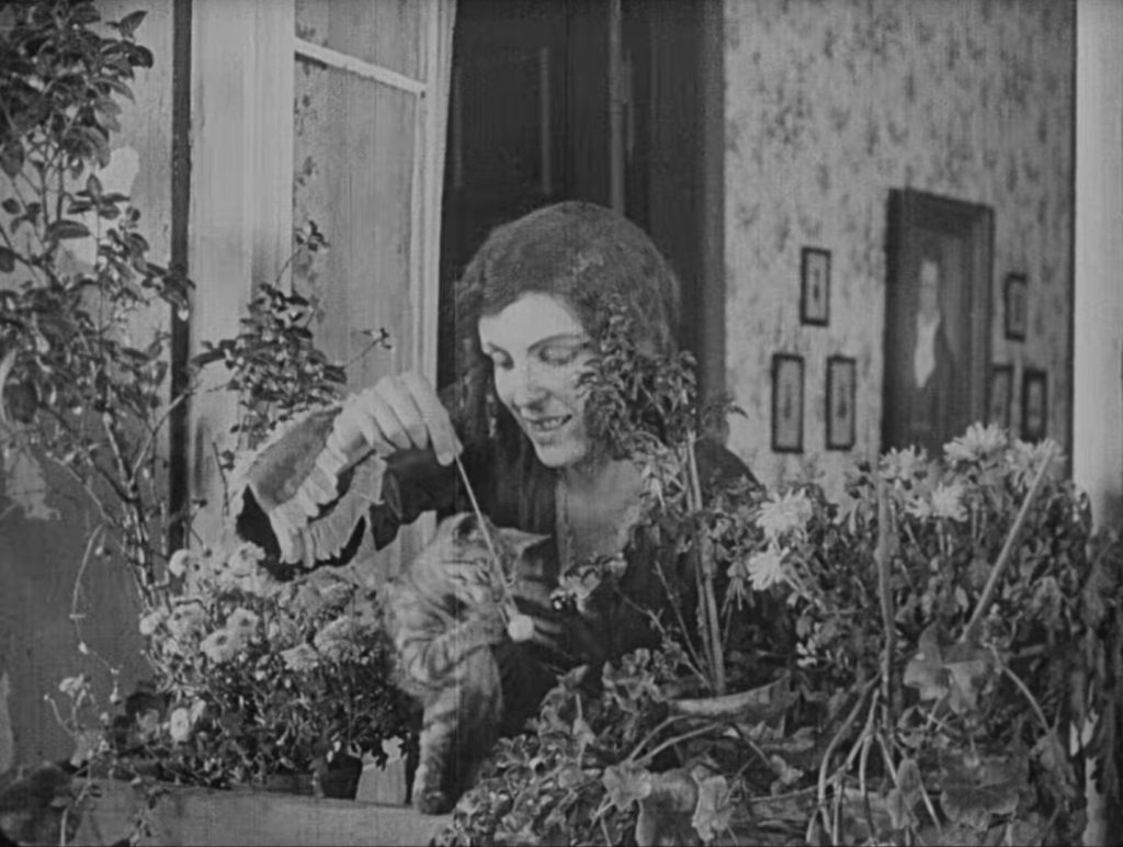 nosferatu-a-symphony-of-horror-0-02-53 Nosferatu a Symphony of Horror - Nosferatu eine Symphonie des Grauens - Friedrich Wilhelm Murnau - Greta Schröder - Ellen - cat