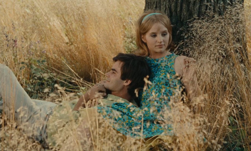 bonheur-0-58-55 Le bonheur - Agnès Varda - Jean-Claude Drouot - Claire Drouot - François Chevalier - Thérèse Chevalier - picnic outing - tree